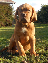 For sale
