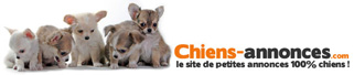 Petites Annonces Chiens